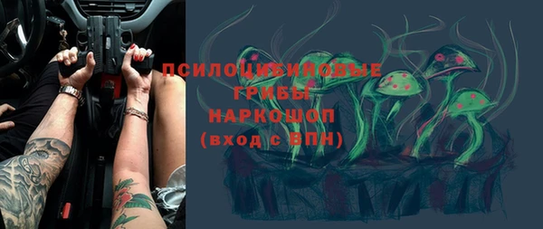 дмт Аркадак