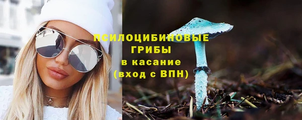 дмт Аркадак