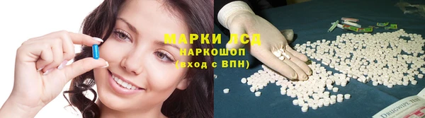 спиды Нефтегорск