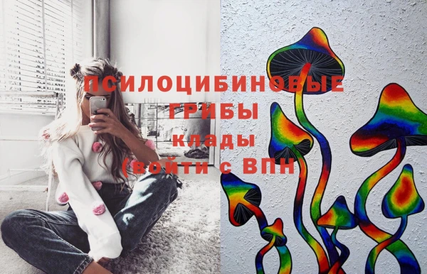 дмт Аркадак