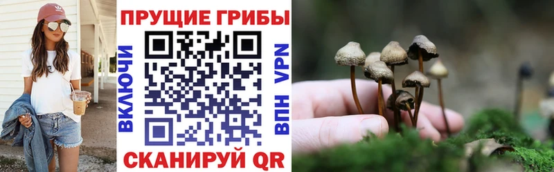 как найти закладки  Бабаево  Галлюциногенные грибы ЛСД 